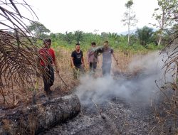 Kebakaran Lahan Sawit Bikin Warga Tanjung Ratu Resah
